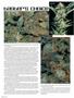 Page: - 74 | High Times