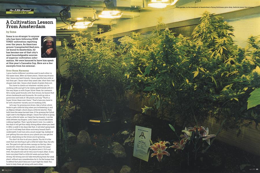 A Cultivation Lesson From Amsterdam