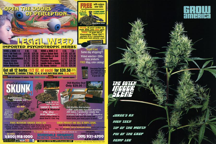GROW AMERICA