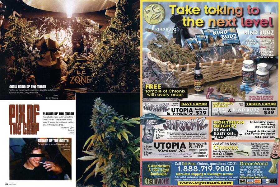 PIX OF THE CROP