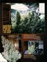 Page: - 106 | High Times