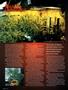 Page: - 116 | High Times