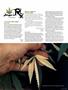 Page: - 119 | High Times