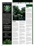 Page: - 126 | High Times