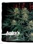 Page: - 64 | High Times