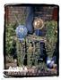 Page: - 66 | High Times