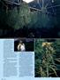 Page: - 76 | High Times