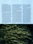 Page: - 78 | High Times