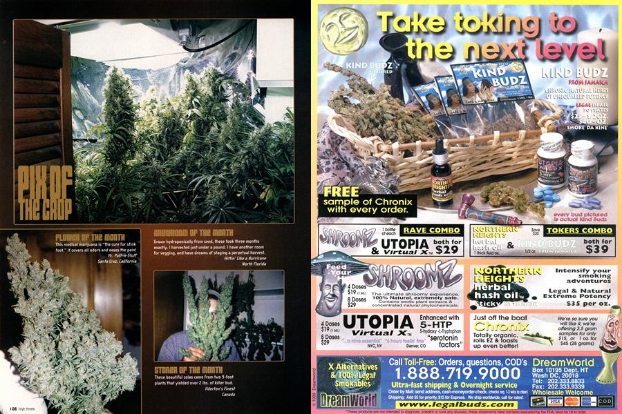PIX OF THE CROP