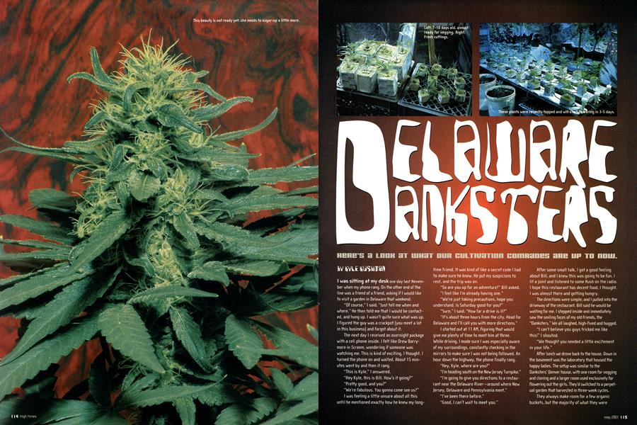 DELAWARE DANKSTERS