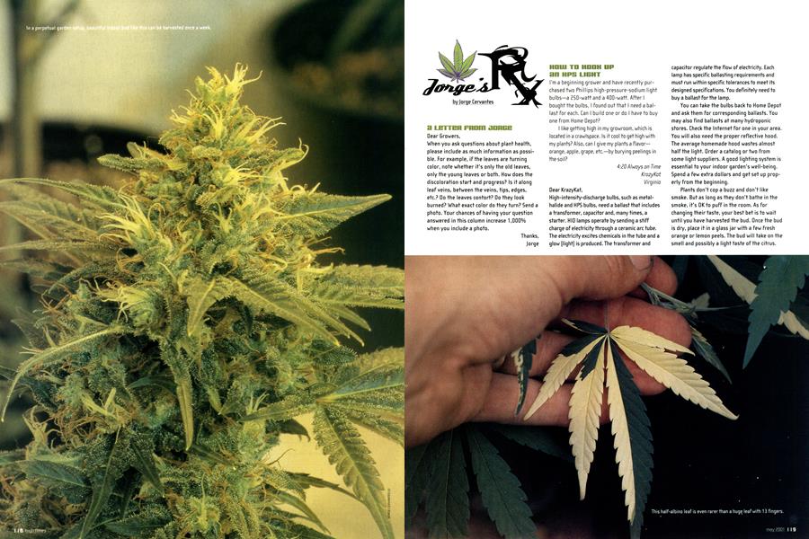 Jorge's Rx