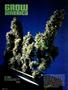 Page: - 104 | High Times
