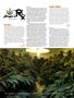 Page: - 119 | High Times