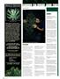 Page: - 126 | High Times