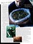 Page: - 14 | High Times