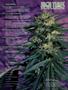 Page: - 4 | High Times