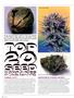 Page: - 64 | High Times