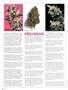Page: - 66 | High Times