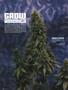 Page: - 104 | High Times