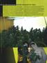 Page: - 115 | High Times