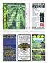 Page: - 117 | High Times