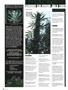 Page: - 126 | High Times