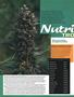 Page: - 62 | High Times
