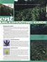Page: - 63 | High Times