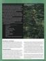Page: - 65 | High Times