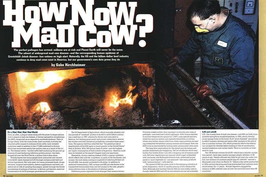HOW NOW MAD COW ?