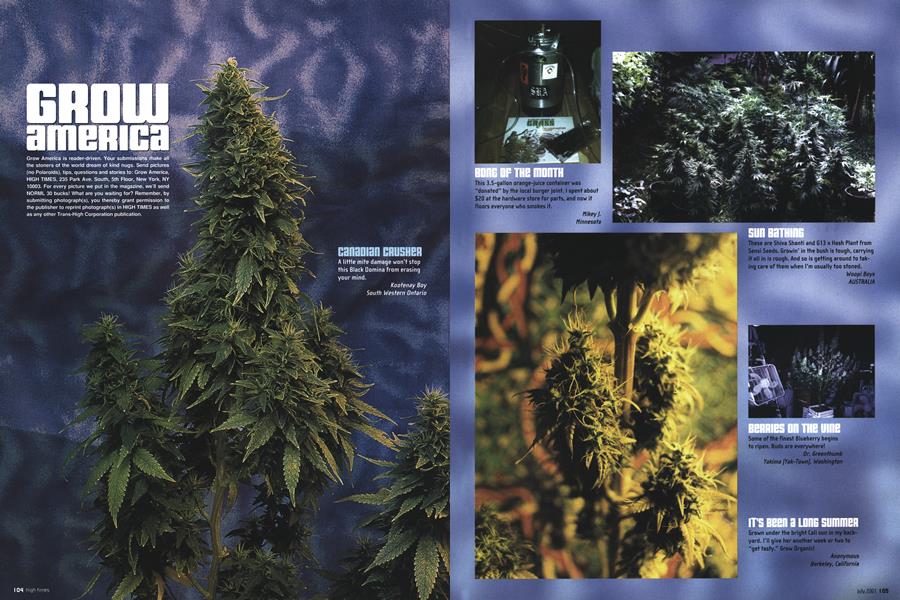 GROW AMERICA