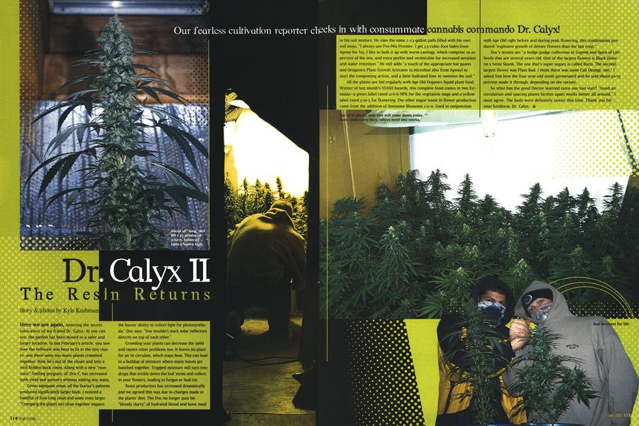 Dr. Calyx II The Resin Returns