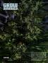 Page: - 104 | High Times