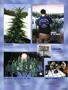 Page: - 105 | High Times