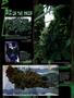 Page: - 106 | High Times