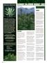 Page: - 126 | High Times