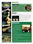 Page: - 40 | High Times