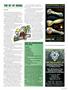 Page: - 41 | High Times