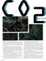Page: - 84 | High Times