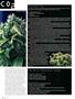 Page: - 88 | High Times