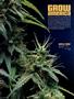 Page: - 104 | High Times