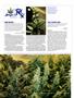 Page: - 118 | High Times