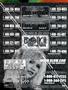 Page: - 130 | High Times