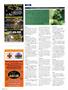 Page: - 26 | High Times