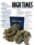Page: - 4 | High Times