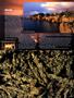 Page: - 67 | High Times