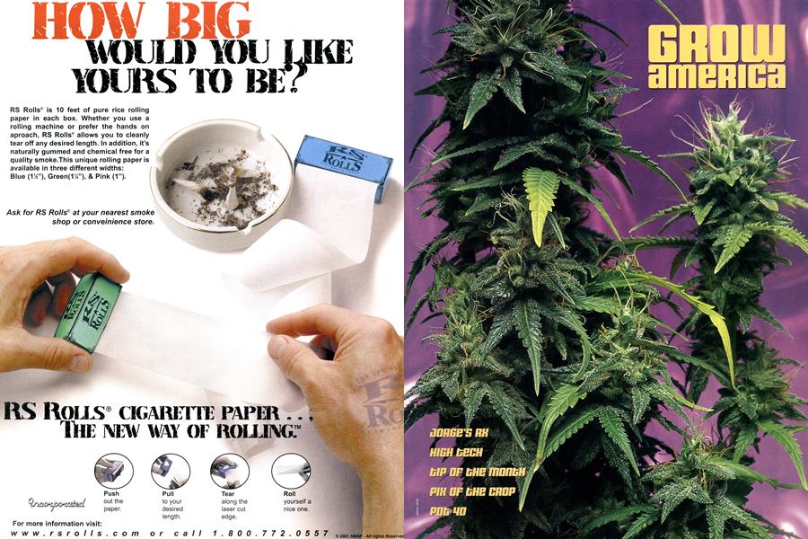 GROW AMERICA