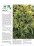 Page: - 102 | High Times