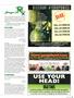Page: - 105 | High Times