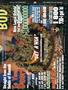 Page: - 13 | High Times